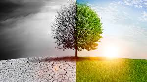 Climate Change
